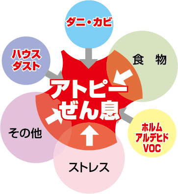 炭八を使用した住居環境